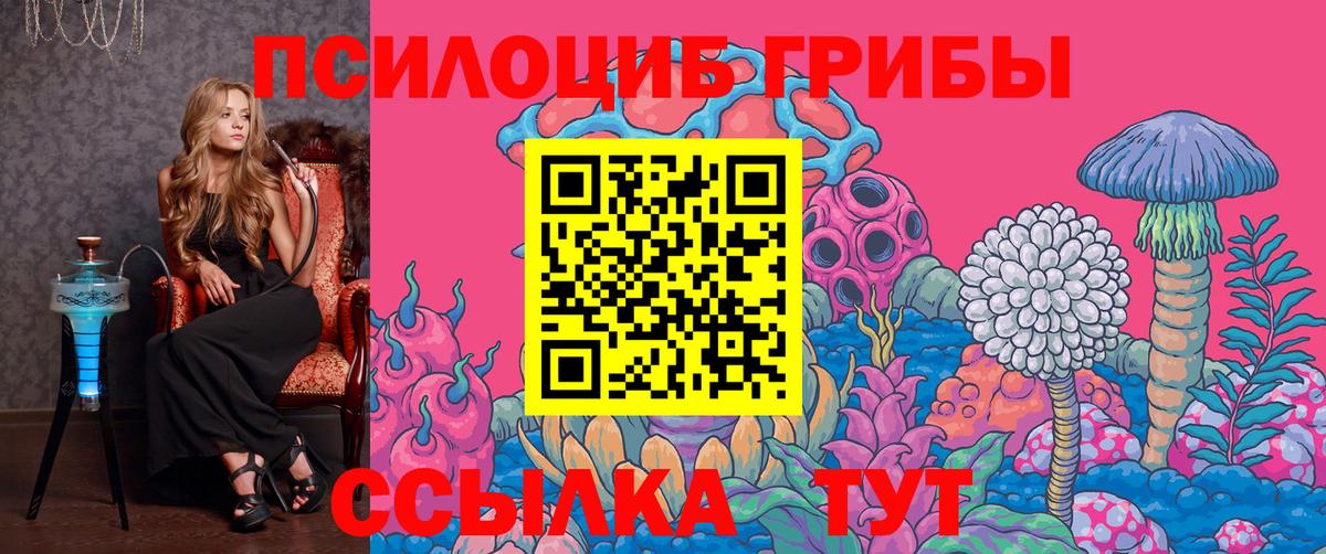 Псилоцибиновые грибы ЛСД Вольск
