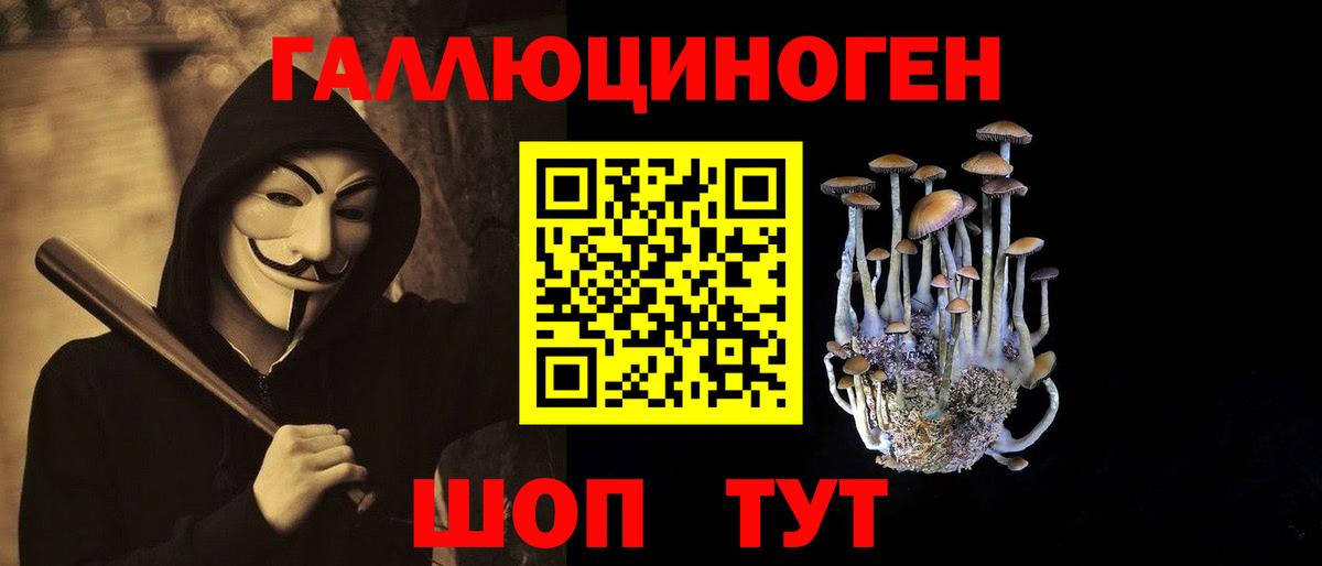 Вольск  Псилоцибиновые грибы Cubensis  Вход с VPN 